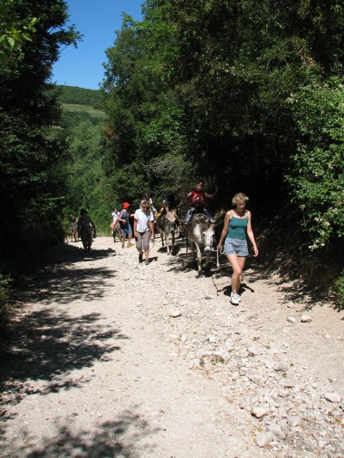 asinelli-26.JPG